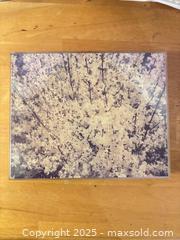 MaxSold Auction: Cherry Blossom Wall Art By Christopher Burkett - Hiram (Georgia, USA) SELLER MANAGED Reseller Online Auction - Hiram Acworth Highway (STORAGE)