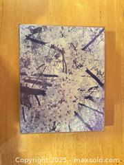 MaxSold Auction: Floral Infrared Photograph by Christopher Burkett - Hiram (Georgia, USA) SELLER MANAGED Reseller Online Auction - Hiram Acworth Highway (STORAGE)