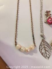 MaxSold Auction: Lot of necklaces’s  - Hiram (Georgia, USA) SELLER MANAGED Reseller Online Auction - Hiram Acworth Highway (STORAGE)
