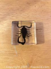 MaxSold Auction: Scorpion Paperweight - Hiram (Georgia, USA) SELLER MANAGED Reseller Online Auction - Hiram Acworth Highway (STORAGE)