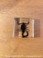 MaxSold Auction: Scorpion Paperweight - Hiram (Georgia, USA) SELLER MANAGED Reseller Online Auction - Hiram Acworth Highway (STORAGE)