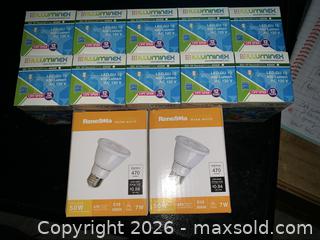 MaxSold Auction: LED Lightbulb Lot - Deseronto (Ontario, Canada) SELLER MANAGED Downsizing Online Auction - Mill Street