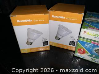 MaxSold Auction: LED Lightbulb Lot - Deseronto (Ontario, Canada) SELLER MANAGED Downsizing Online Auction - Mill Street