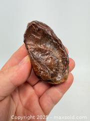 MaxSold Auction: Prehistoric fossilized whale ear Bohn million years old - Concord (California, USA) SELLER MANAGED Estate Sale Online Auction - Landana Drive