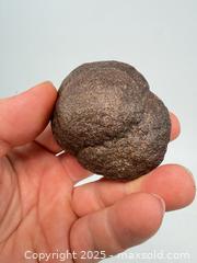 MaxSold Auction: Prehistoric million-year-old dinosaur poop fossilized - Concord (California, USA) SELLER MANAGED Estate Sale Online Auction - Landana Drive