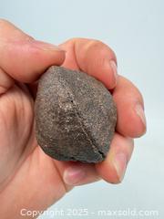 MaxSold Auction: Prehistoric million-year-old dinosaur poop fossilized - Concord (California, USA) SELLER MANAGED Estate Sale Online Auction - Landana Drive