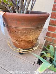 MaxSold Auction: Jade Plant - San Jose (California, USA) PARTNER MANAGED Estate Sale Online Auction - Woodford Drive