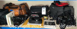 MaxSold Auction: Nikon &#38; Cannon SLRs - San Jose (California, USA) PARTNER MANAGED Estate Sale Online Auction - Woodford Drive