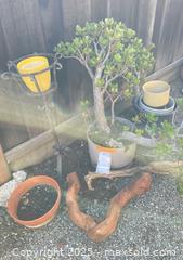 MaxSold Auction: Plants, Pot Holders &#38; More  - San Jose (California, USA) PARTNER MANAGED Estate Sale Online Auction - Woodford Drive