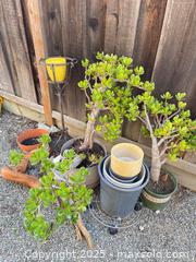 MaxSold Auction: Plants, Pot Holders &#38; More  - San Jose (California, USA) PARTNER MANAGED Estate Sale Online Auction - Woodford Drive