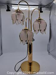 MaxSold Auction: Polished Brass Table Lamp with 3 Tulip Glass Shades - Victoria (British Columbia, Canada) PARTNER MANAGED Estate Sale Online Auction - Hillside Avenue