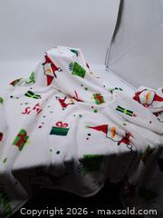 MaxSold Auction: Target Santa Fleece Throw Blanket, 48 x 60 in - Victoria (British Columbia, Canada) PARTNER MANAGED Estate Sale Online Auction - Hillside Avenue