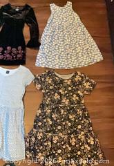 MaxSold Auction: Lot of 5 Girls' Dresses, Various Sizes - Norwood (Pennsylvania, USA) SELLER MANAGED Downsizing Online Auction - Martin Lane
