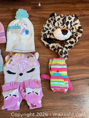MaxSold Auction: Lot of Little Kids Hats, Gloves & Neck Gaiter — Frozen & Paw Patrol - Norwood (Pennsylvania, USA) SELLER MANAGED Downsizing Online Auction - Martin Lane