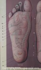 MaxSold Auction: Foot massage poster  - Toronto (Ontario, Canada) SELLER MANAGED Commercial Liquidation Online Auction - Revlis Crescent