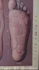 MaxSold Auction: Foot massage poster  - Toronto (Ontario, Canada) SELLER MANAGED Commercial Liquidation Online Auction - Revlis Crescent