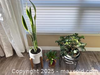 MaxSold Auction: Indoor plant lot: Snake Plant &#38; 2 Bromeliads with pots/stands - Waterloo (Ontario, Canada) SELLER MANAGED Estate Sale Online Auction -  New Hampshire Street