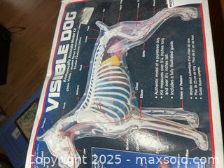 MaxSold Auction: The Visible Dog Model A - Greater Napanee (Ontario, Canada) PARTNER MANAGED Estate Sale Online Auction - Camden Road