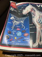 MaxSold Auction: The Visible Dog Model A - Greater Napanee (Ontario, Canada) PARTNER MANAGED Estate Sale Online Auction - Camden Road