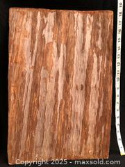 MaxSold Auction: Indigenous Bark Painting - Saanich (British Columbia, Canada) SELLER MANAGED Downsizing Online Auction - Colquitz Avenue