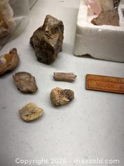 MaxSold Auction: Mineral rock collection - Stone Mills (Camden East) (Ontario, Canada) SELLER MANAGED Downsizing Online Auction - County Road 1