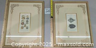 MaxSold Auction: Set of 2 Gilded Framed Decorative Prints – Shells &#38; Fish - Warwick (Rhode Island, USA) SELLER MANAGED Reseller Online Auction - Warwick Avenue