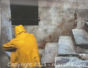 MaxSold Auction: ELAINE LING PHOTO - Toronto (Ontario, Canada) PARTNER MANAGED Estate Sale Online Auction - Esandar Drive (STORAGE)