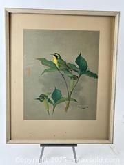MaxSold Auction: PAIR OF BIRD WATERCOLOUR PRINTS F. LANSDOWNE - Toronto (Ontario, Canada) PARTNER MANAGED Estate Sale Online Auction - Esandar Drive (STORAGE)