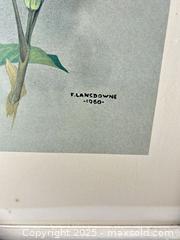 MaxSold Auction: PAIR OF BIRD WATERCOLOUR PRINTS F. LANSDOWNE - Toronto (Ontario, Canada) PARTNER MANAGED Estate Sale Online Auction - Esandar Drive (STORAGE)