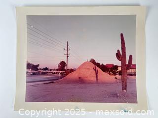 MaxSold Auction: VINTAGE JOEL STERNFELD COLOUR PHOTOGRAPH - Toronto (Ontario, Canada) PARTNER MANAGED Estate Sale Online Auction - Esandar Drive (STORAGE)