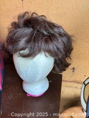 MaxSold Auction: Carousel Medium Wig Storage Case with Wig & Accessories - Maple Ridge (British Columbia, Canada) PARTNER MANAGED Estate Sale Online Auction - Blanshard Street (STORAGE)