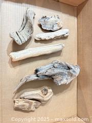 MaxSold Auction: Driftwood lot, 7 pieces, natural sun-bleached wood, largest 9–11 in - Maple Ridge (British Columbia, Canada) PARTNER MANAGED Estate Sale Online Auction - Blanshard Street (STORAGE)