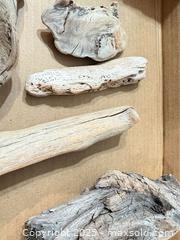 MaxSold Auction: Driftwood lot, 7 pieces, natural sun-bleached wood, largest 9–11 in - Maple Ridge (British Columbia, Canada) PARTNER MANAGED Estate Sale Online Auction - Blanshard Street (STORAGE)