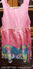 MaxSold Auction: 6 size 10 girls dresses  - North Cowichan(Crofton) (British Columbia, Canada) SELLER MANAGED Downsizing Online Auction - Musgrave Street