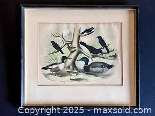 MaxSold Auction: Antique Ducks and Blackbirds Plate - Douglas (Massachusetts, USA) PARTNER MANAGED Estate Sale Online Auction - Southwest Main Street