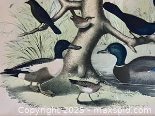 MaxSold Auction: Antique Ducks and Blackbirds Plate - Douglas (Massachusetts, USA) PARTNER MANAGED Estate Sale Online Auction - Southwest Main Street
