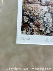 MaxSold Auction: Blake Richardson &#39;Lilybell&#39; - Hamilton (Ontario, Canada) SELLER MANAGED Estate Sale Online Auction - Gertrude Street