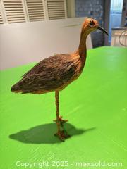 MaxSold Auction: Handmade Natural Fiber Shorebird Sculpture / Folk Art Decorative Figure - Toronto (Ontario, Canada) SELLER MANAGED Moving Online Auction - 1/2  Wellesley Street East