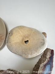 MaxSold Auction: Mixed Natural Specimens & Stone Objects – Agate Slices, Fossils & Carved Stone Pieces  - Toronto (Ontario, Canada) SELLER MANAGED Moving Online Auction - 1/2  Wellesley Street East