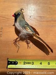 MaxSold Auction: Vintage & Retro Christmas Ornaments Lot – Shiny Brite Balls, Clip-On Birds++ - Toronto (Ontario, Canada) SELLER MANAGED Moving Online Auction - 1/2  Wellesley Street East