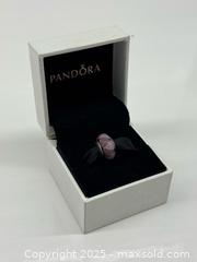 MaxSold Auction: Pandora Purple Murano Glass Charm in Original Box - Toronto (Ontario, Canada) PARTNER MANAGED Estate Sale Online Auction - Esander Drive (STORAGE)