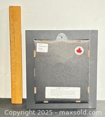 MaxSold Auction: Haplopelma Minax Tarantula  - Newmarket (Ontario, Canada) PARTNER MANAGED Reseller Online Auction - Walter Avenue