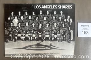 MaxSold Auction: Rare 1972-73 Los Angeles Sharks W.H.A. Playoff Program - Ottawa (Ontario, Canada) SELLER MANAGED Downsizing Online Auction - Sandy Forest Place