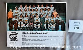 MaxSold Auction: 1973-74 WHA Chicago Cougars Color Team Photo  - Ottawa (Ontario, Canada) SELLER MANAGED Downsizing Online Auction - Sandy Forest Place