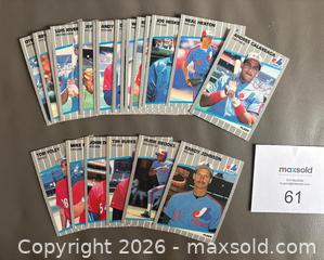 MaxSold Auction: 1989 Fleer Montreal Expos Team Set Cards w / Randy Johnson RC  - Ottawa (Ontario, Canada) SELLER MANAGED Downsizing Online Auction - Sandy Forest Place