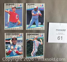 MaxSold Auction: 1989 Fleer Montreal Expos Team Set Cards w / Randy Johnson RC  - Ottawa (Ontario, Canada) SELLER MANAGED Downsizing Online Auction - Sandy Forest Place