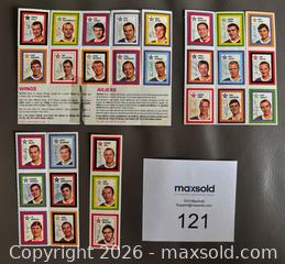 MaxSold Auction: Lot of 28 Rare 1970-71 Colgate NHL Hockey Stickers on Panels w / Gordie Howe - Ottawa (Ontario, Canada) SELLER MANAGED Downsizing Online Auction - Sandy Forest Place