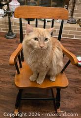 MaxSold Auction: Vintage Child's Two Colored Rocking Chair. - Newport (Pennsylvania, USA) SELLER MANAGED Downsizing Online Auction - North 5th Street