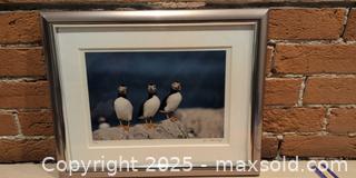 MaxSold Auction: Signed Numbered Puffins Framed Photographic Print, Silver Frame - Kingston (Ontario, Canada) SELLER MANAGED Downsizing Online Auction -  Sydenham Street