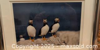 MaxSold Auction: Signed Numbered Puffins Framed Photographic Print, Silver Frame - Kingston (Ontario, Canada) SELLER MANAGED Downsizing Online Auction -  Sydenham Street